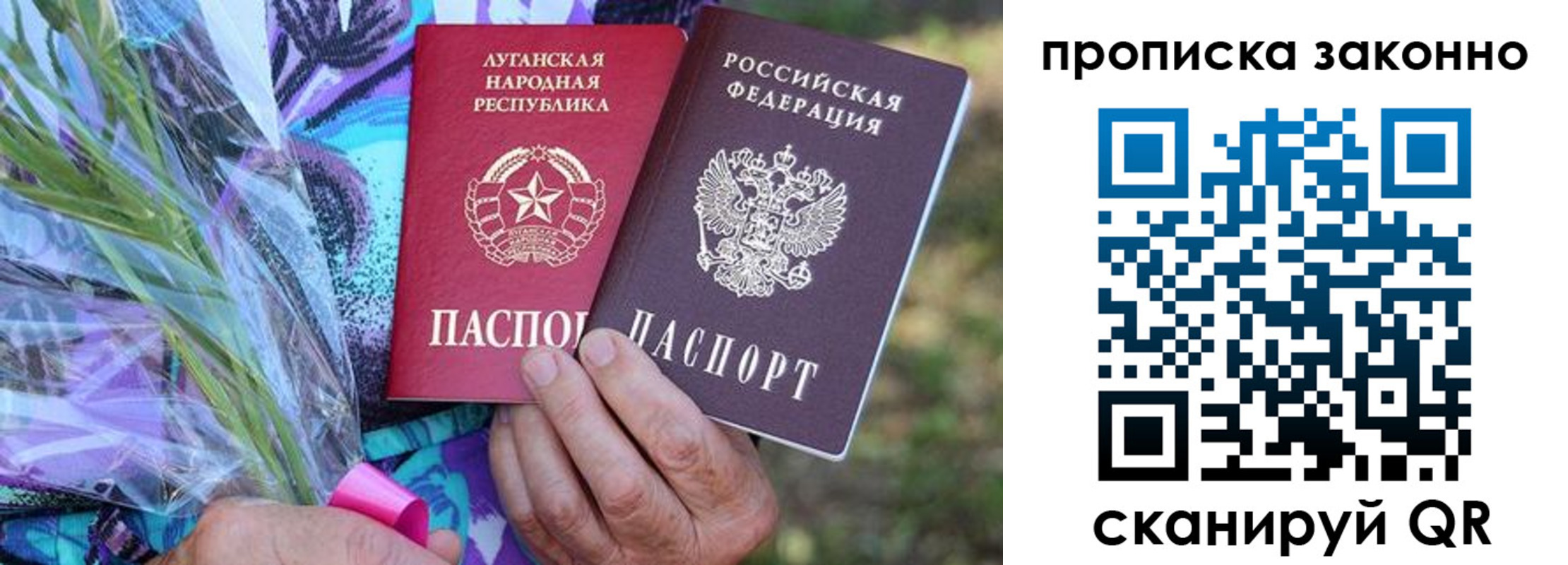 прописка для школы в Судогде